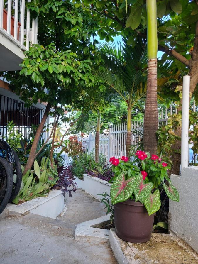 Casita Natural Village #4, #6 Y #8 圣胡安 外观 照片