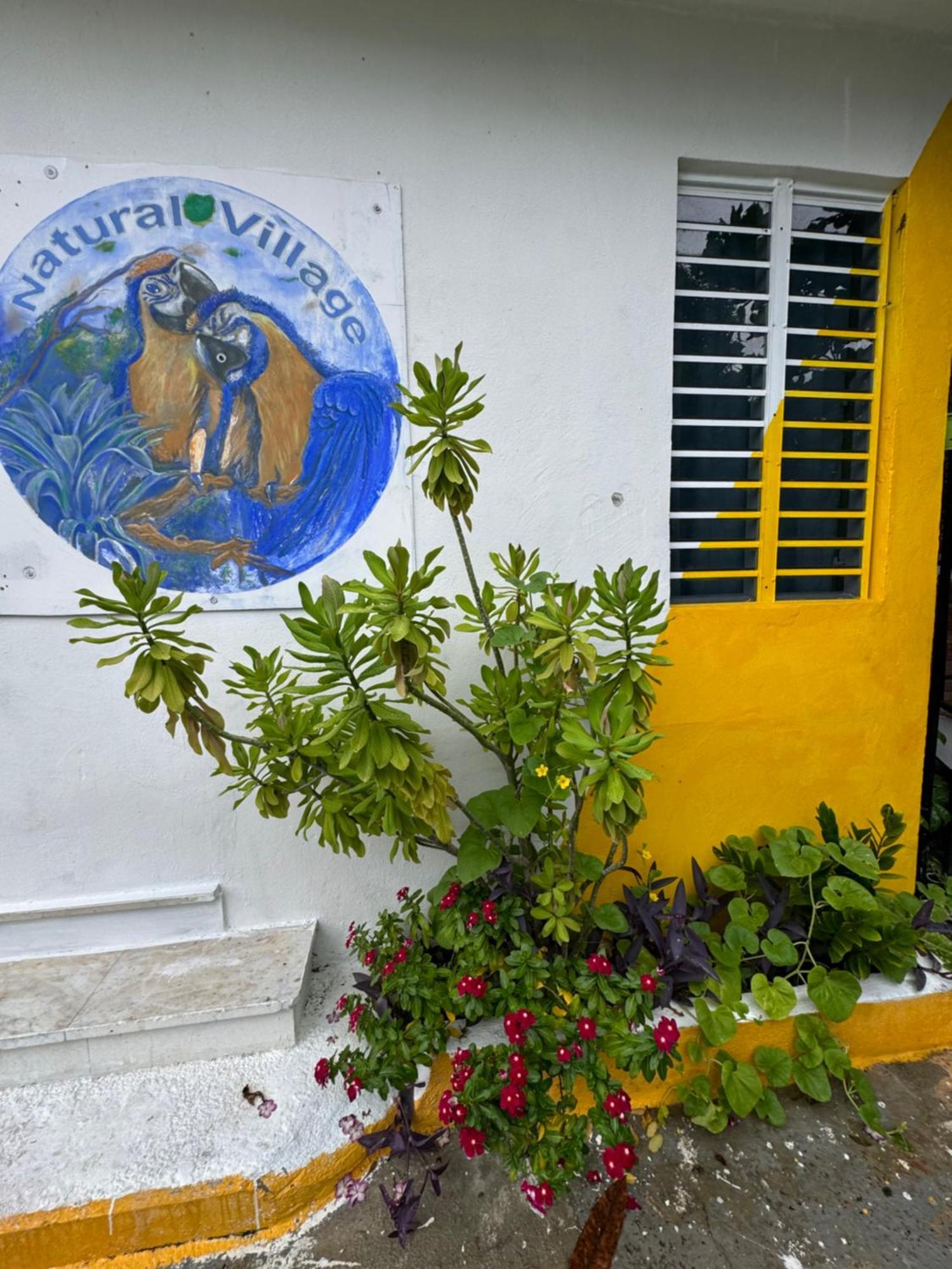 Casita Natural Village #4, #6 Y #8 圣胡安 外观 照片